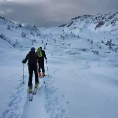 Fuori dal bosco