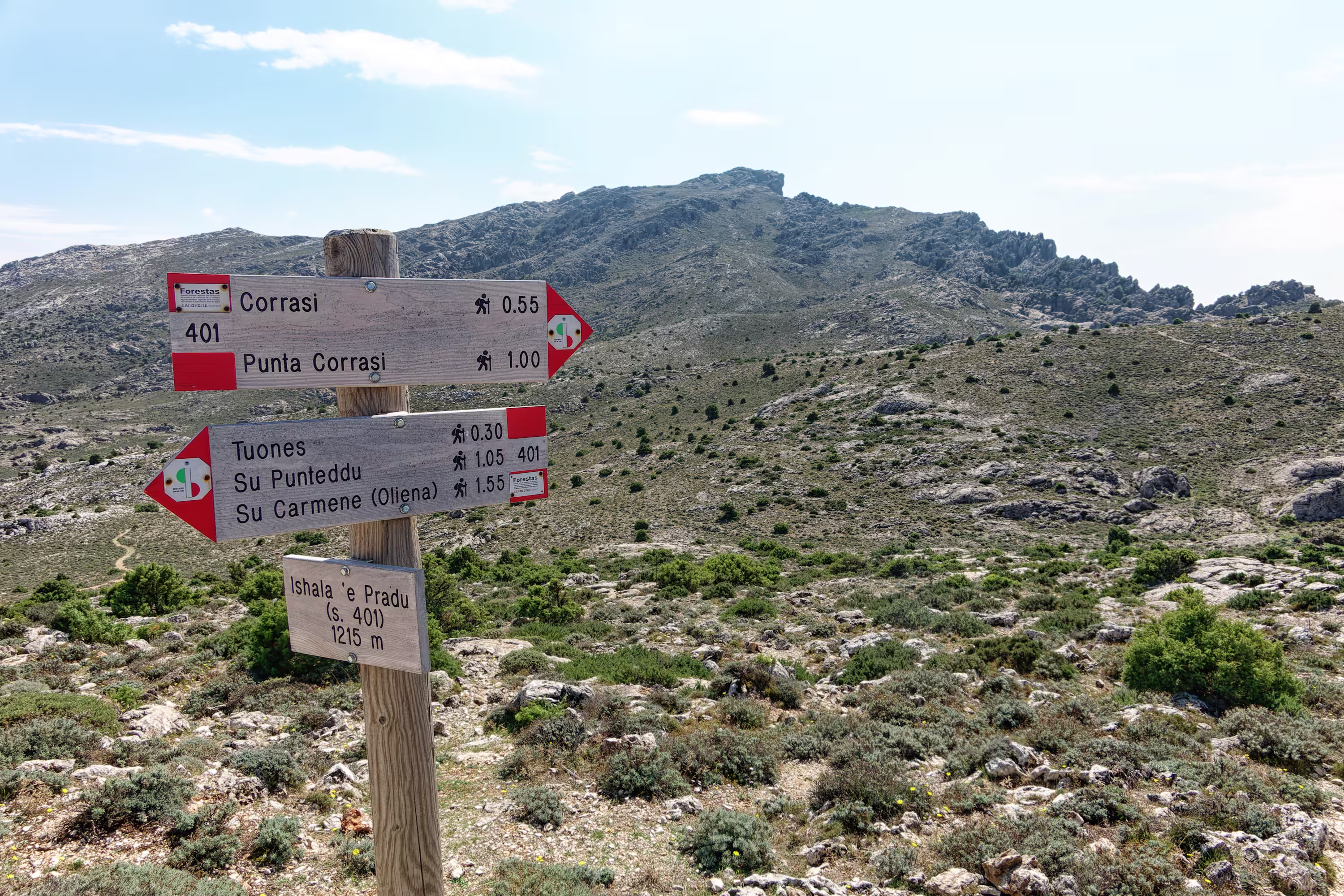 Il Monte Corrasi da Ishala 'e Pradu