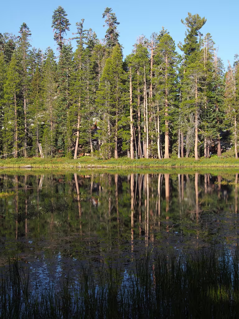 Laghetto sulla Tioga Road
