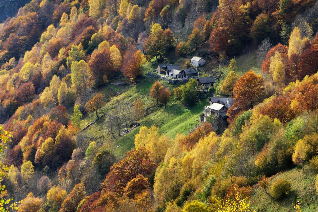 L'Alpe La Piana