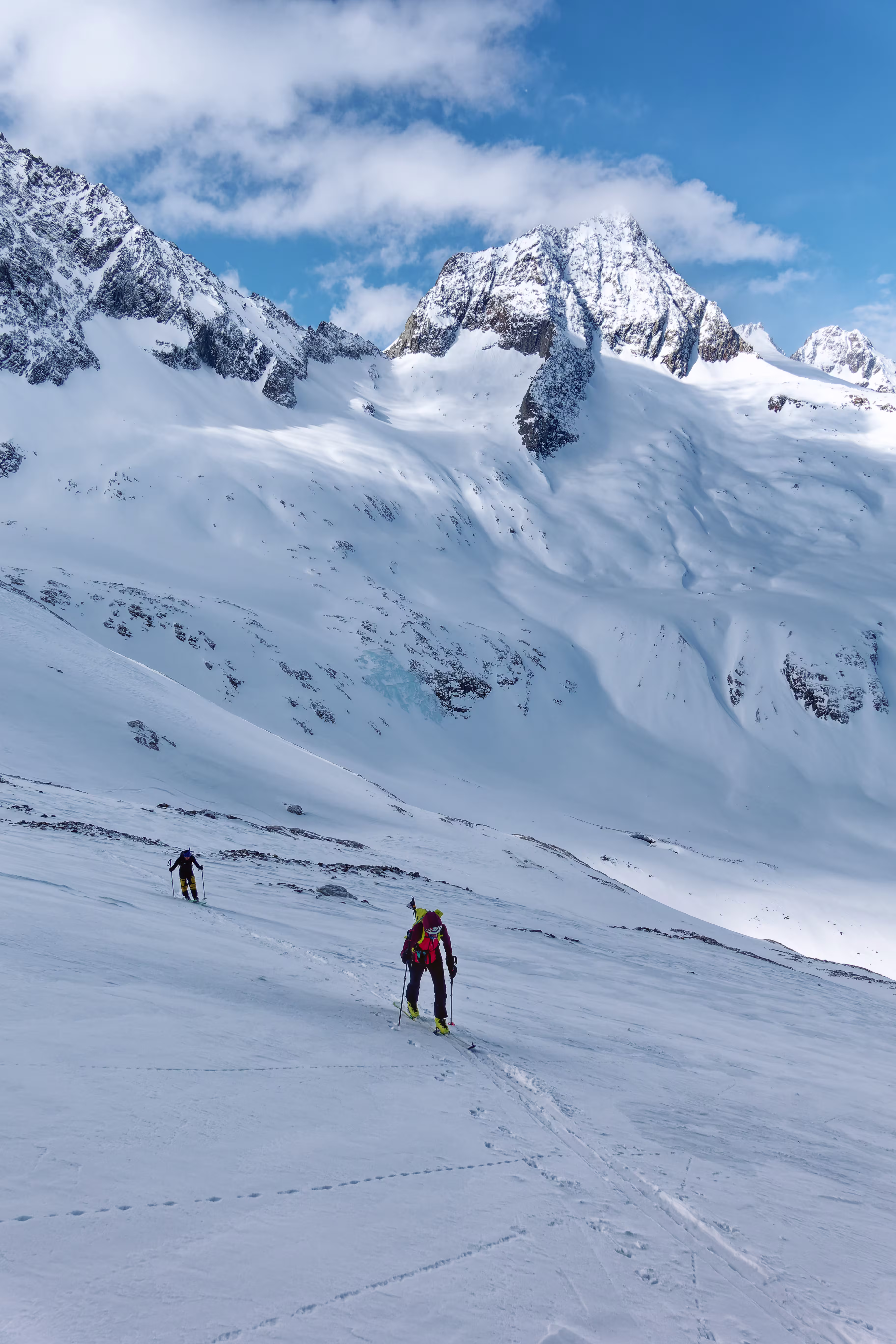 Magnifici panorami sul Fleckistock