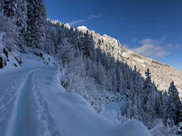 Continuiamo a salire lungo la poderale