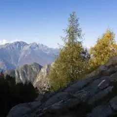 Nei pressi dell’Alpe Ladrogno