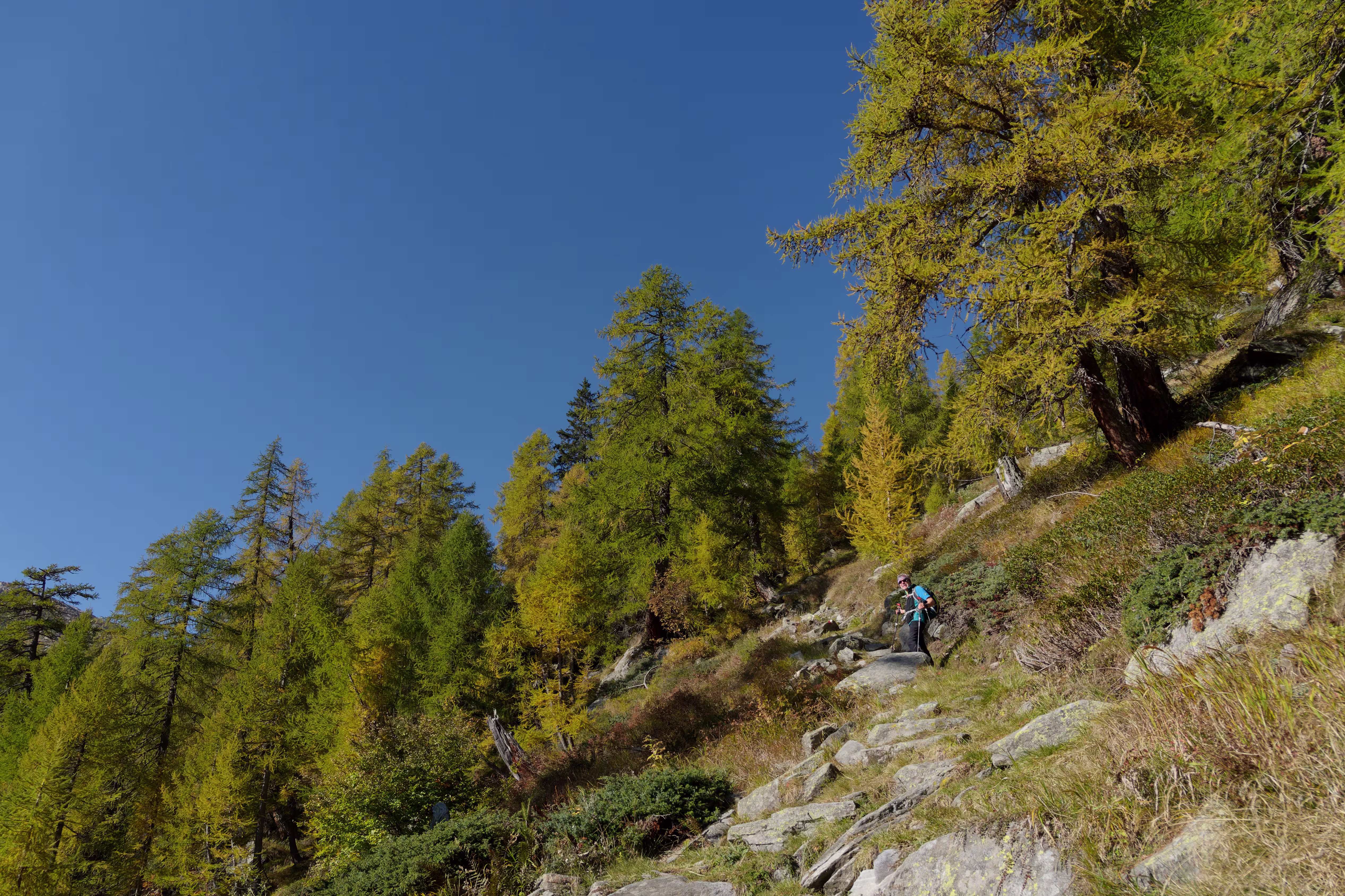 La salita si impenna dopo il secondo alpeggio