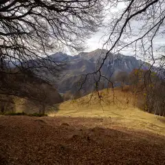 Le Grigne dai grandi faggi