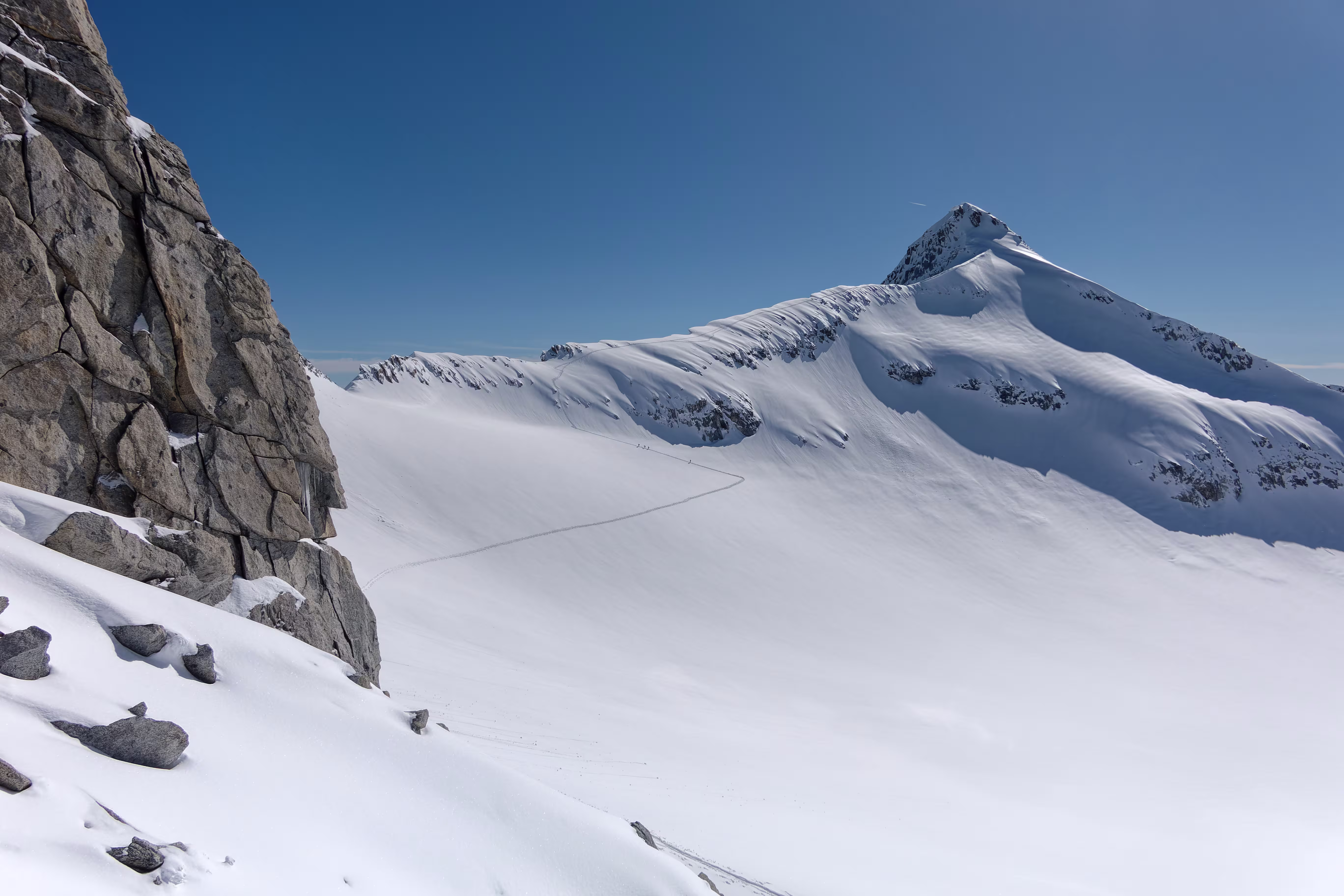 La Presanella dalla Sella Freshfield