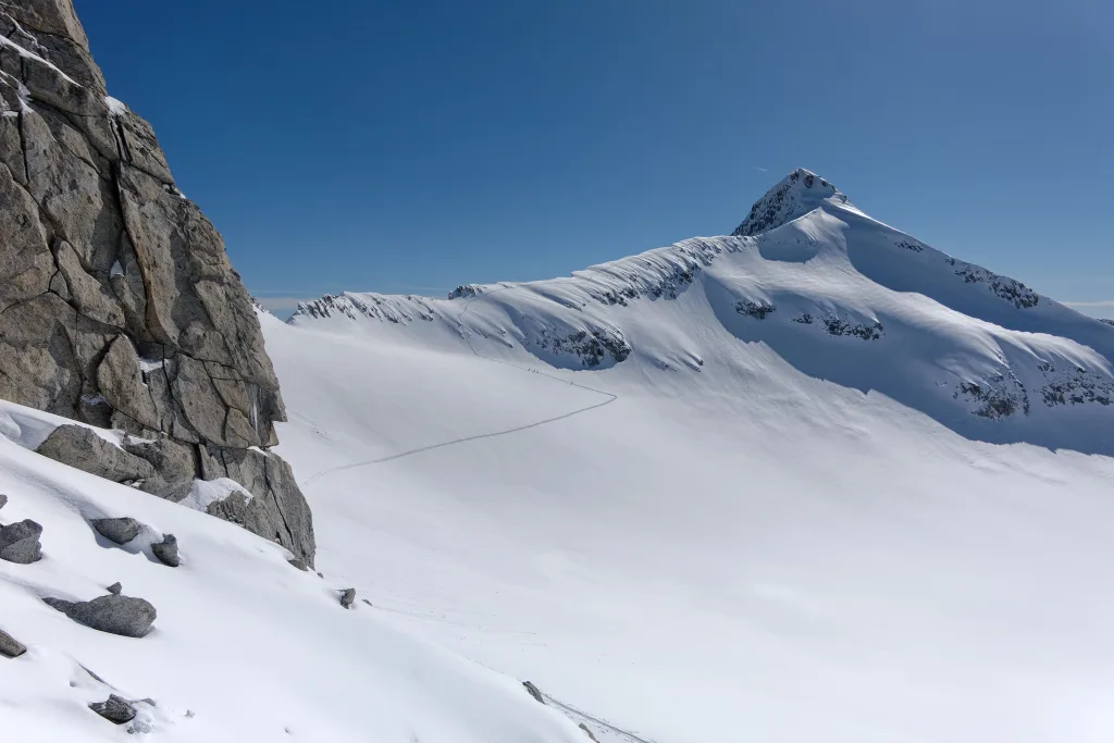 La Presanella dalla Sella Freshfield