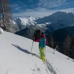 Rientro nel bosco