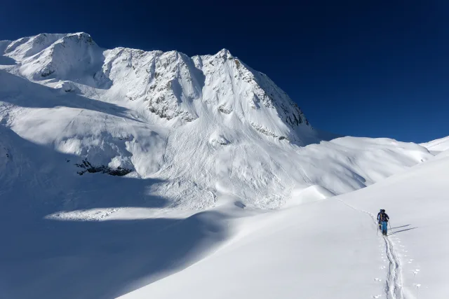 Al cospetto della parete nord della Presanella