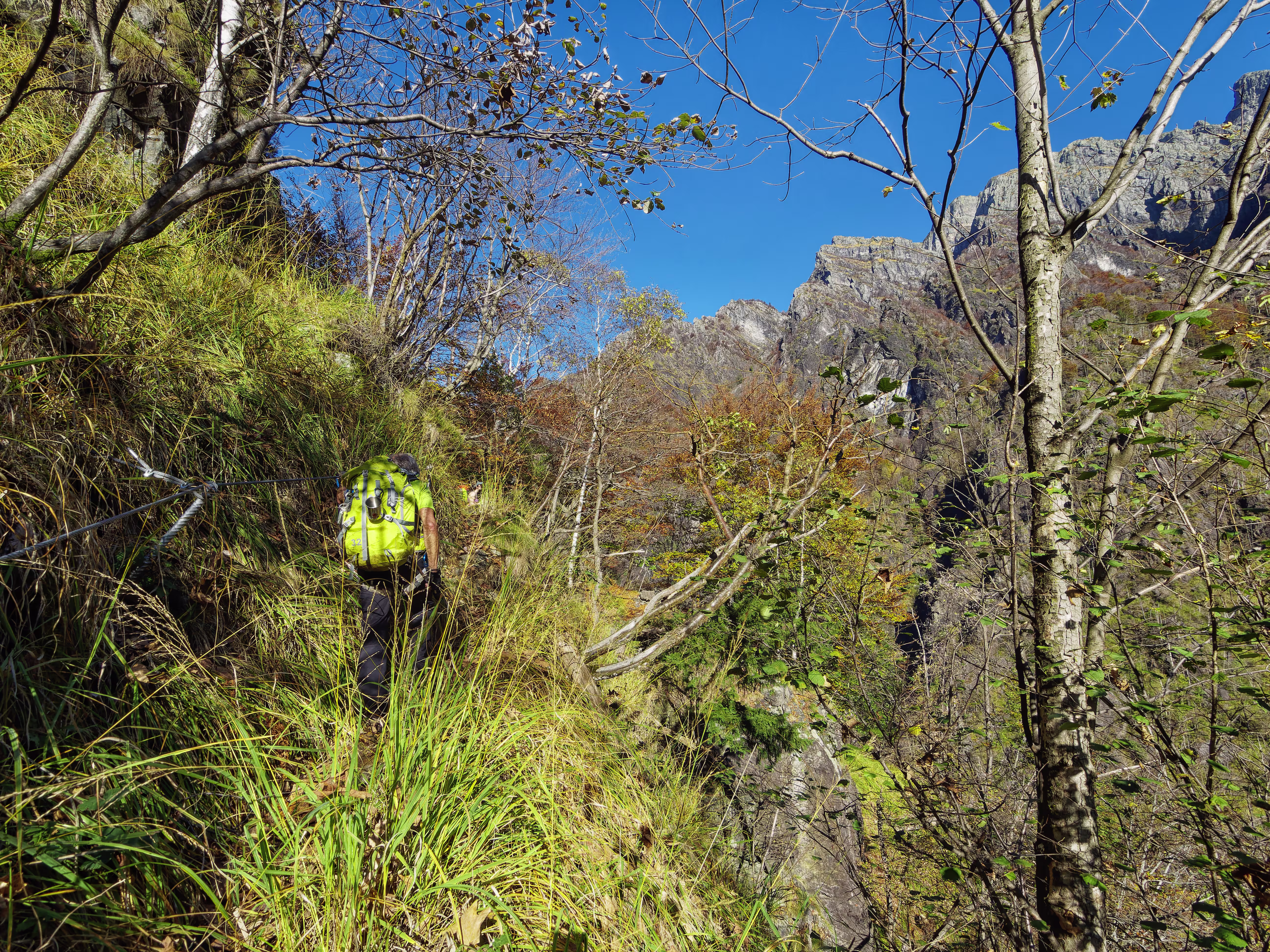 Momenti di pura selva