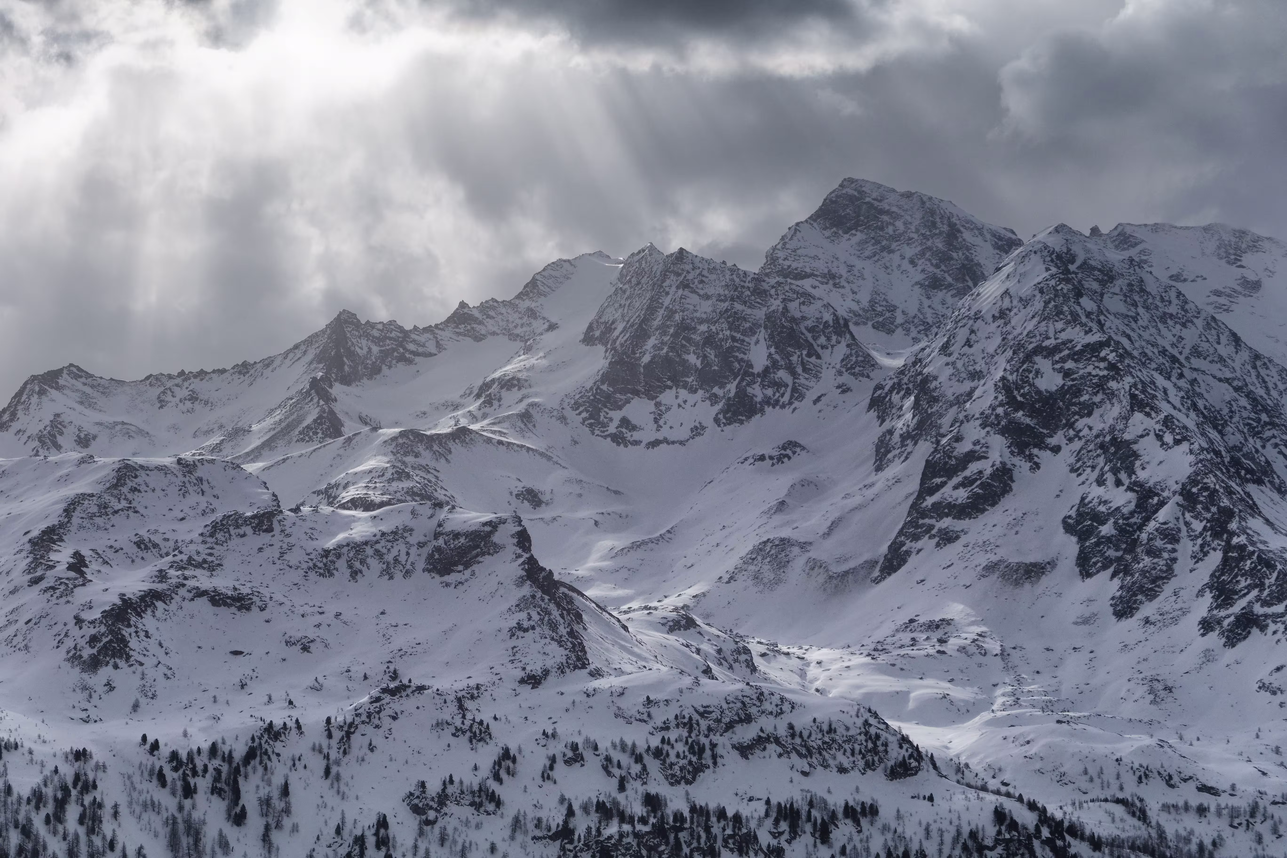 Inizia a coprirsi 😕