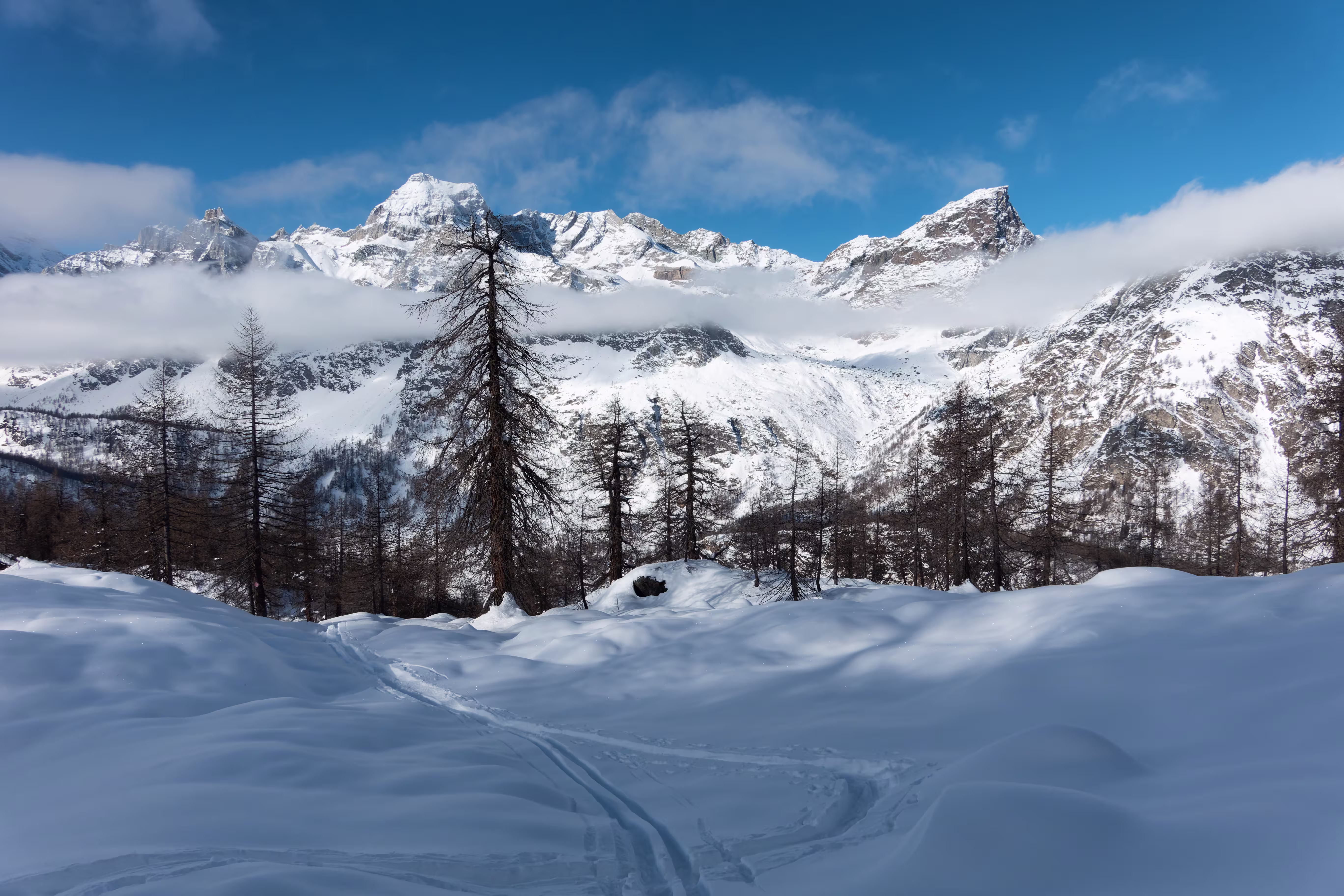 Rientro nel boschetto