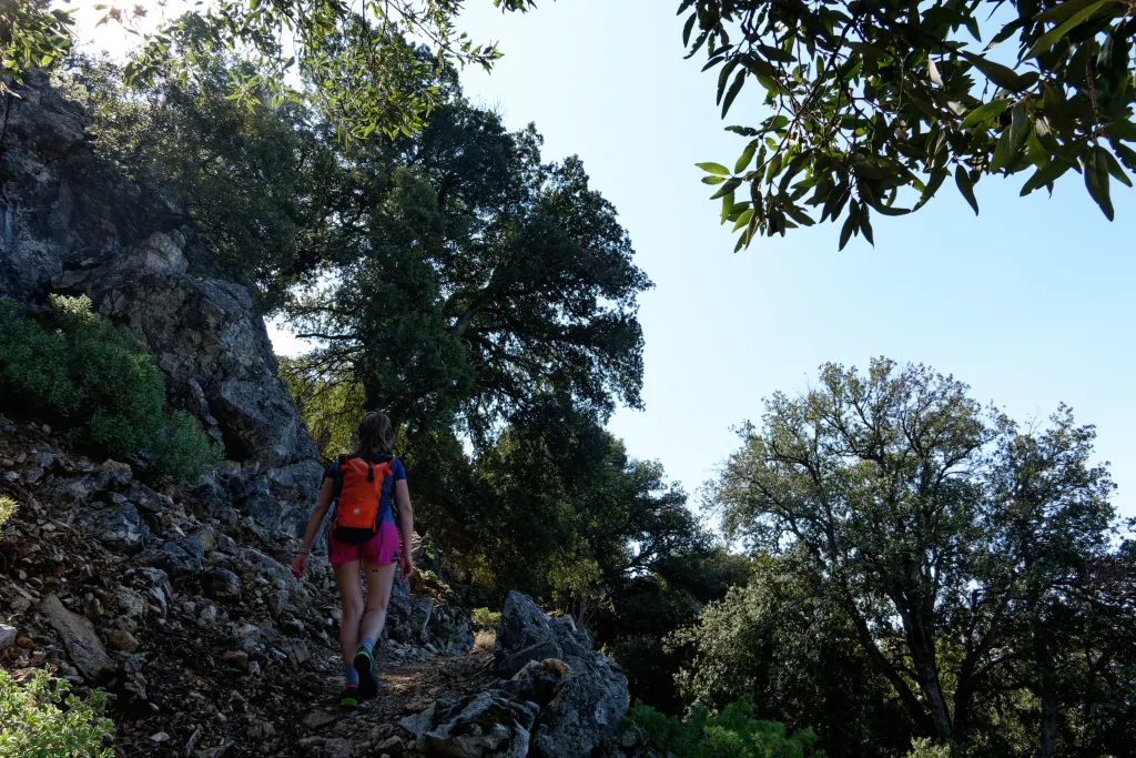 La parte finale del bosco