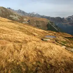 Tambò in lontananza