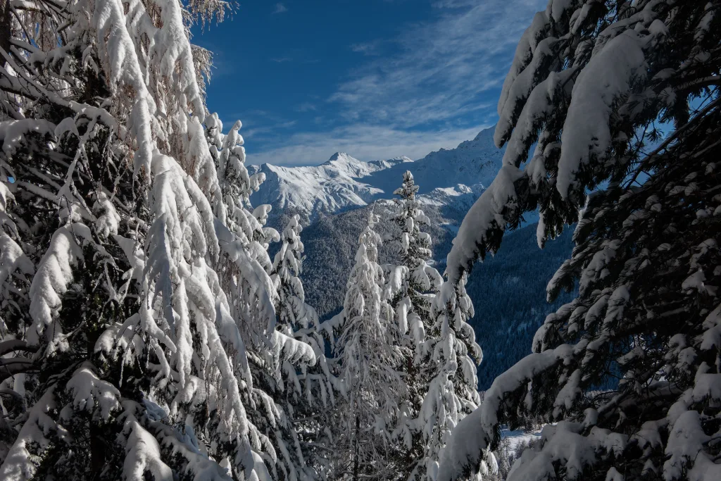 I boschi innevati sopra Arnoga