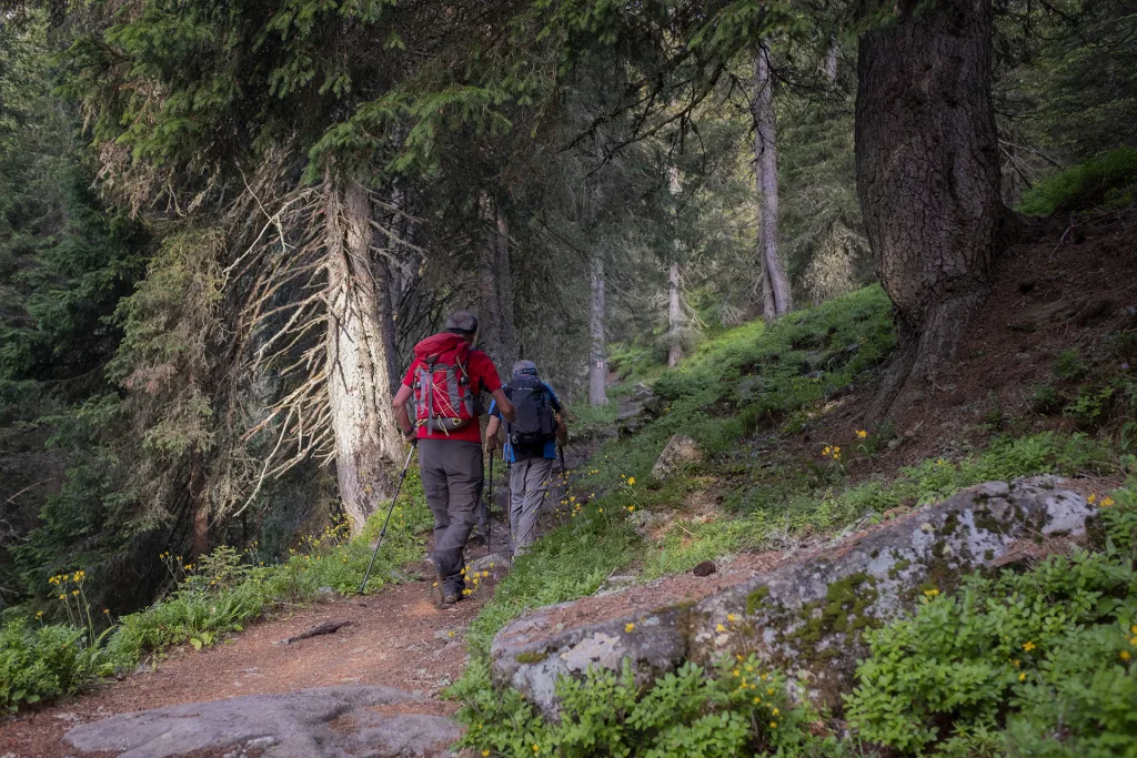 Parte iniziale nel bosco