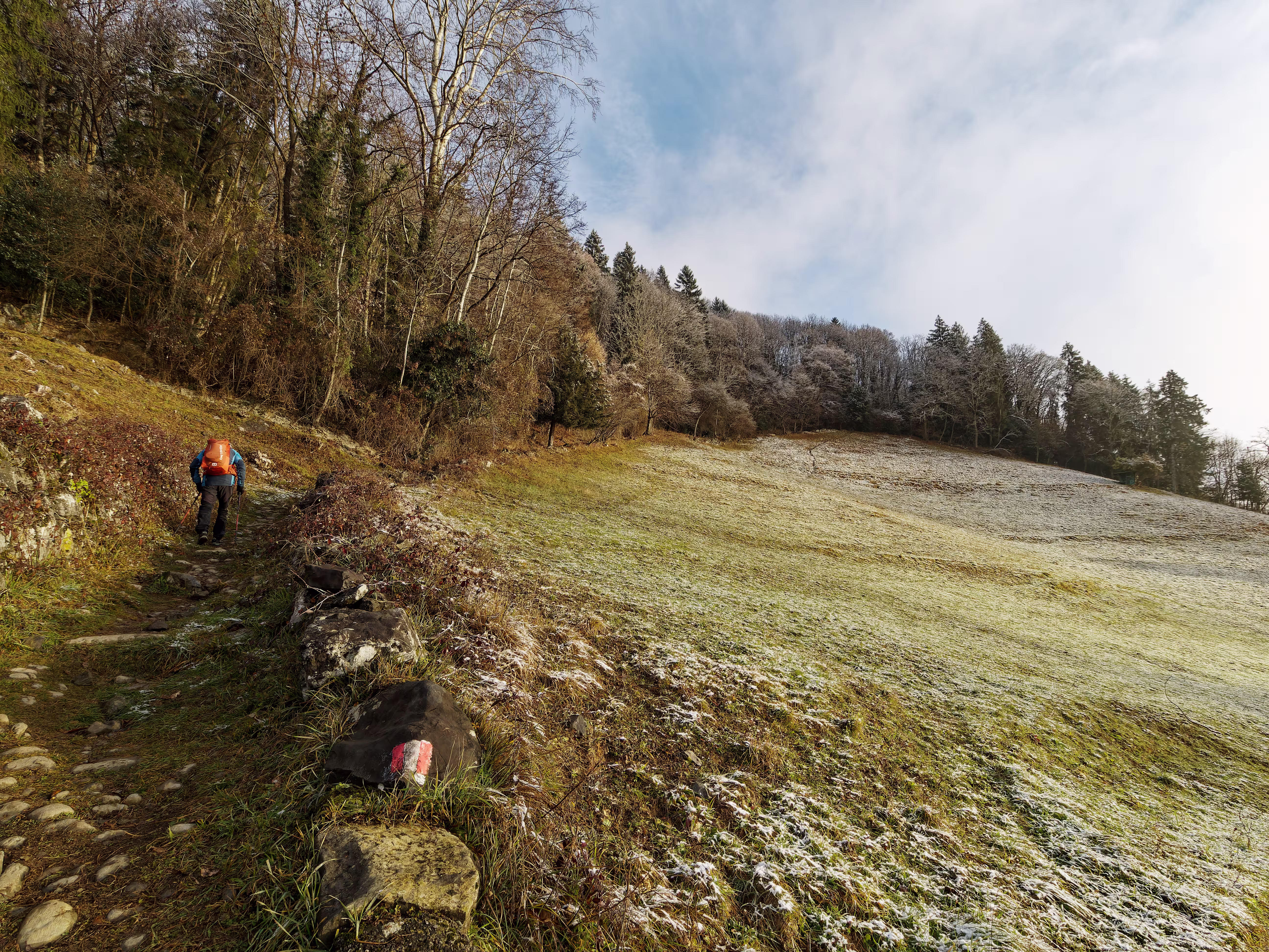 Un tratto fuori dal bosco della mulattiera