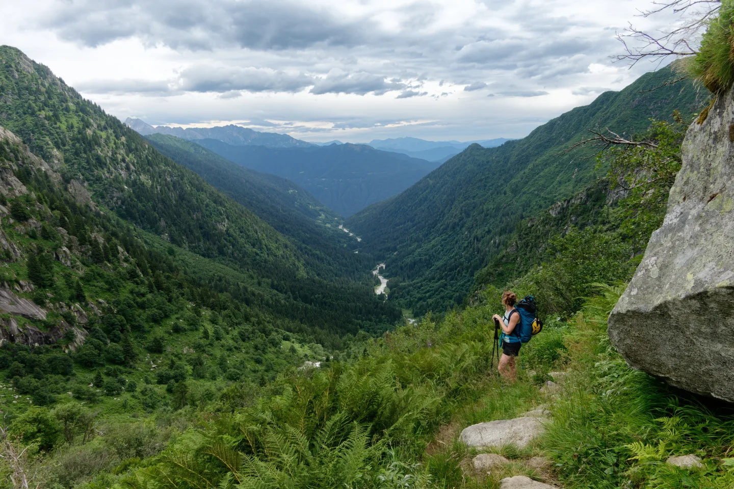 La Val Borzago dal sentiero che sale al Rifugio Carè Alto
