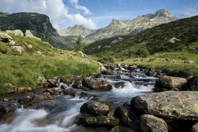 Il Torrente Piumogna