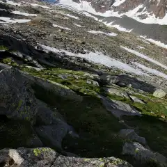 Quasi al rifugio