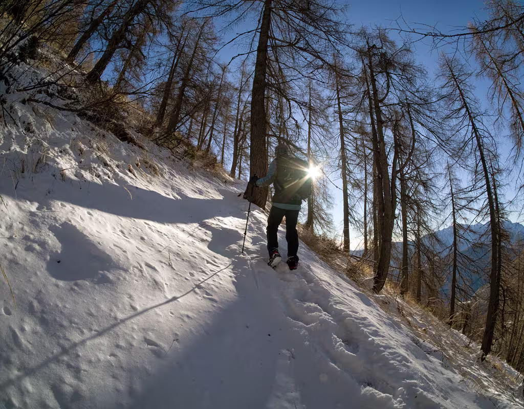 Nel Bosco prima di Pino