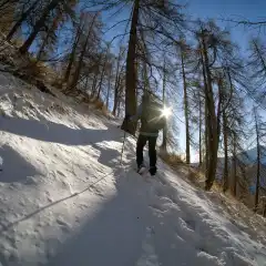 Nel Bosco prima di Pino