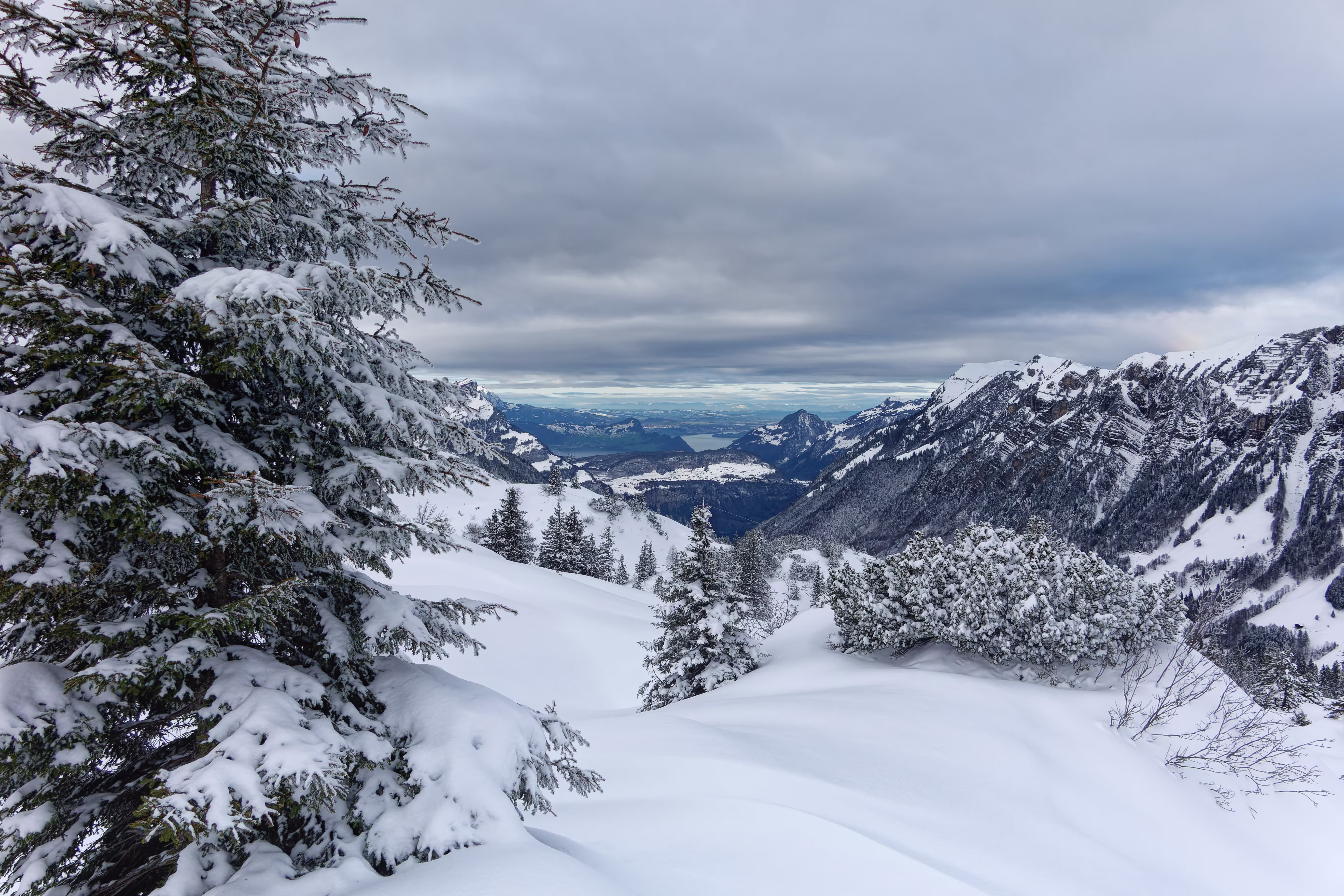 Verso il Lago dei Quattro Cantoni