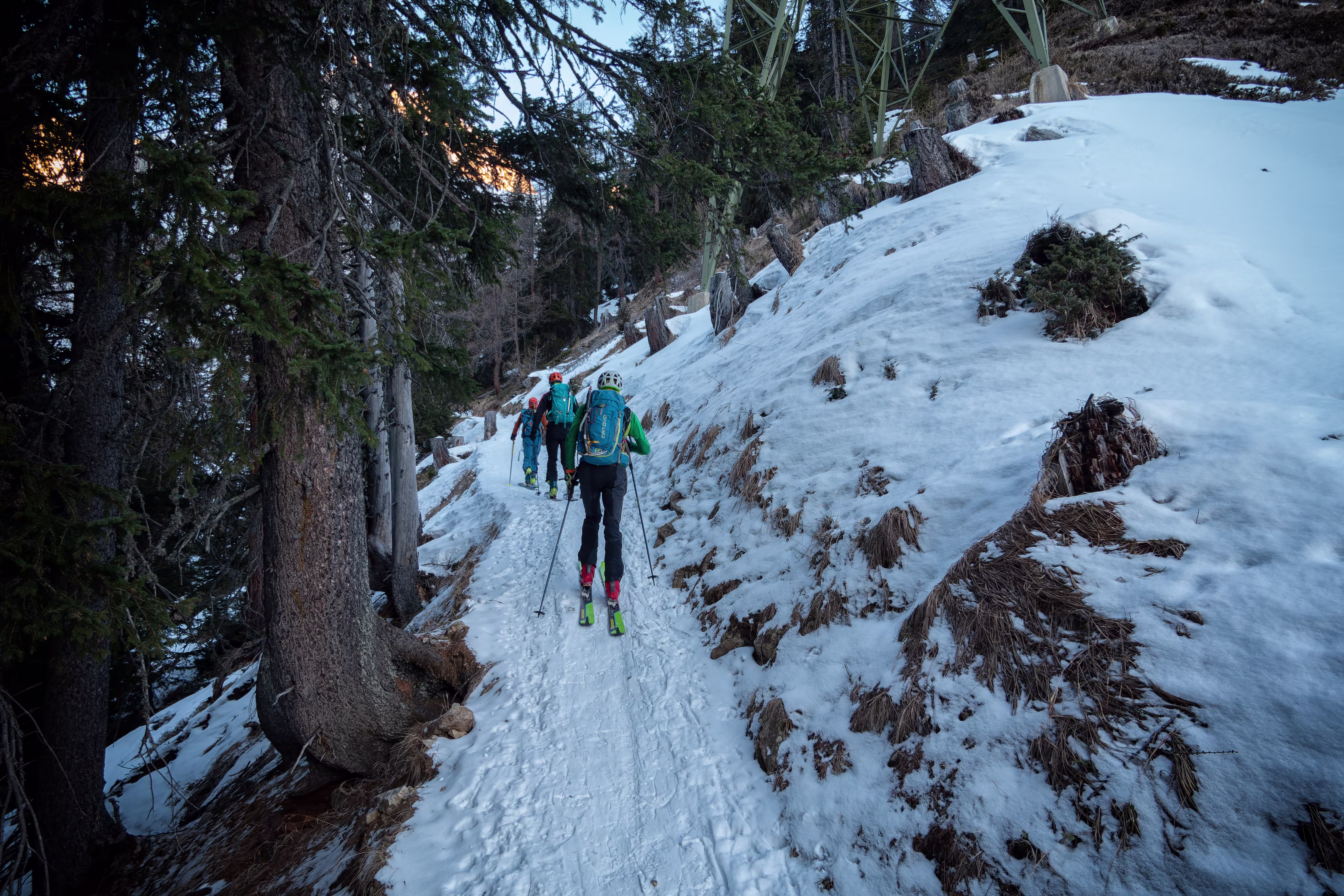 La stradina nel bosco che porta alla Capanna Piansecco
