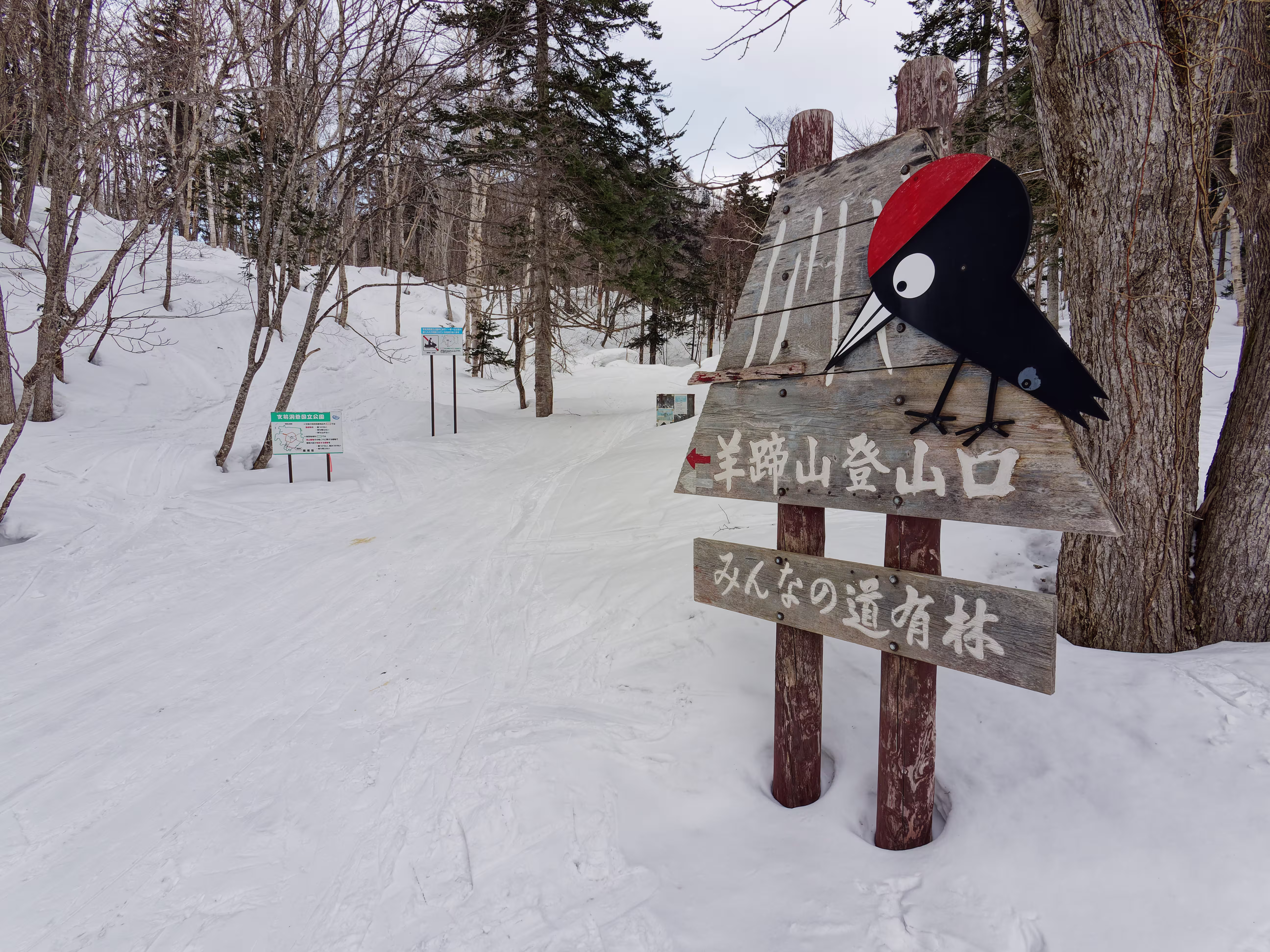La partenza ufficiale