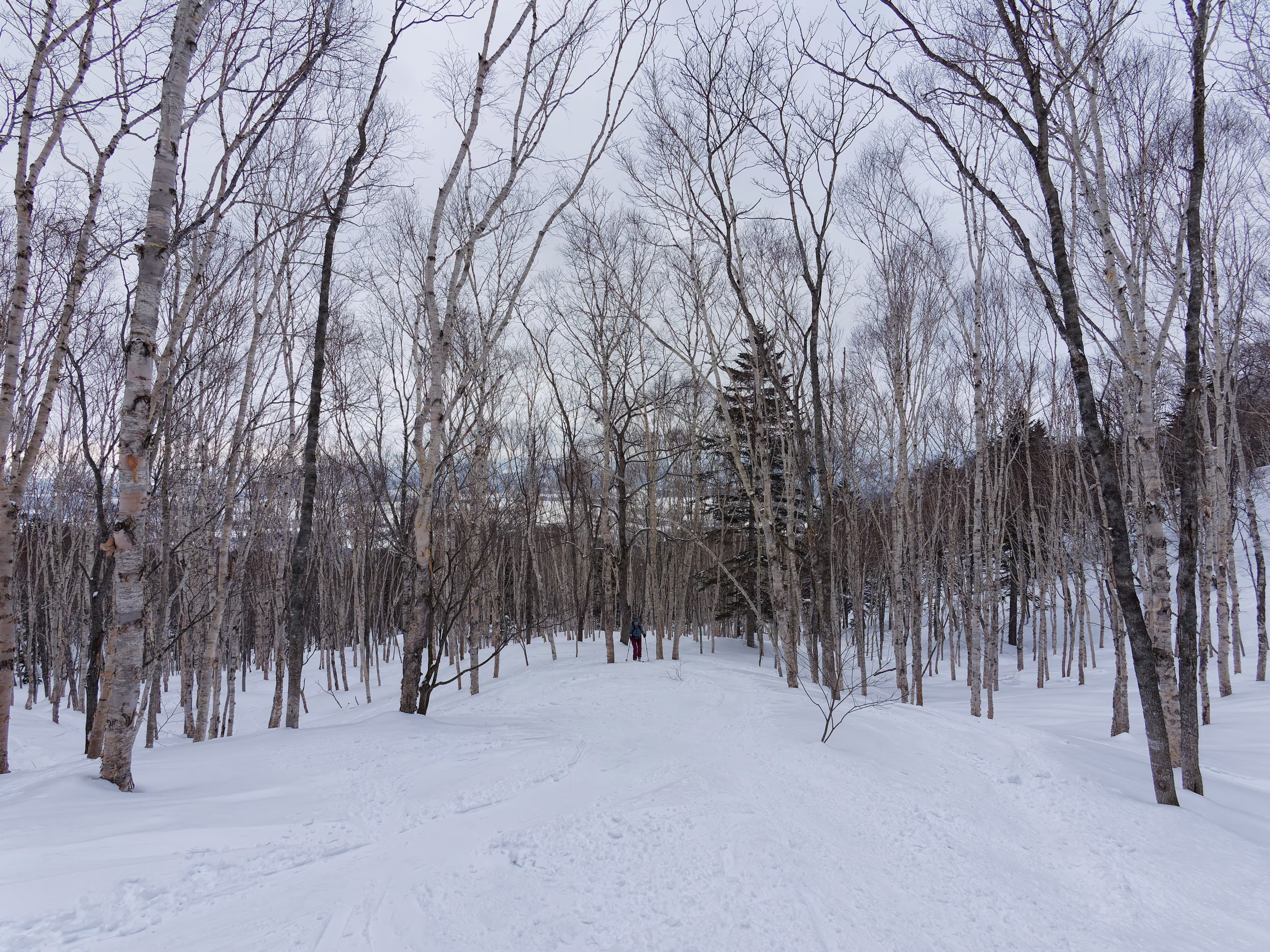 Poi diventa sempre più rado