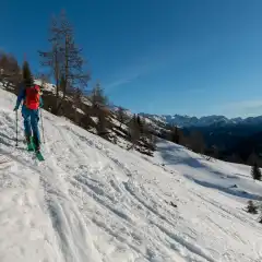 Superiamo anche il limite dei larici