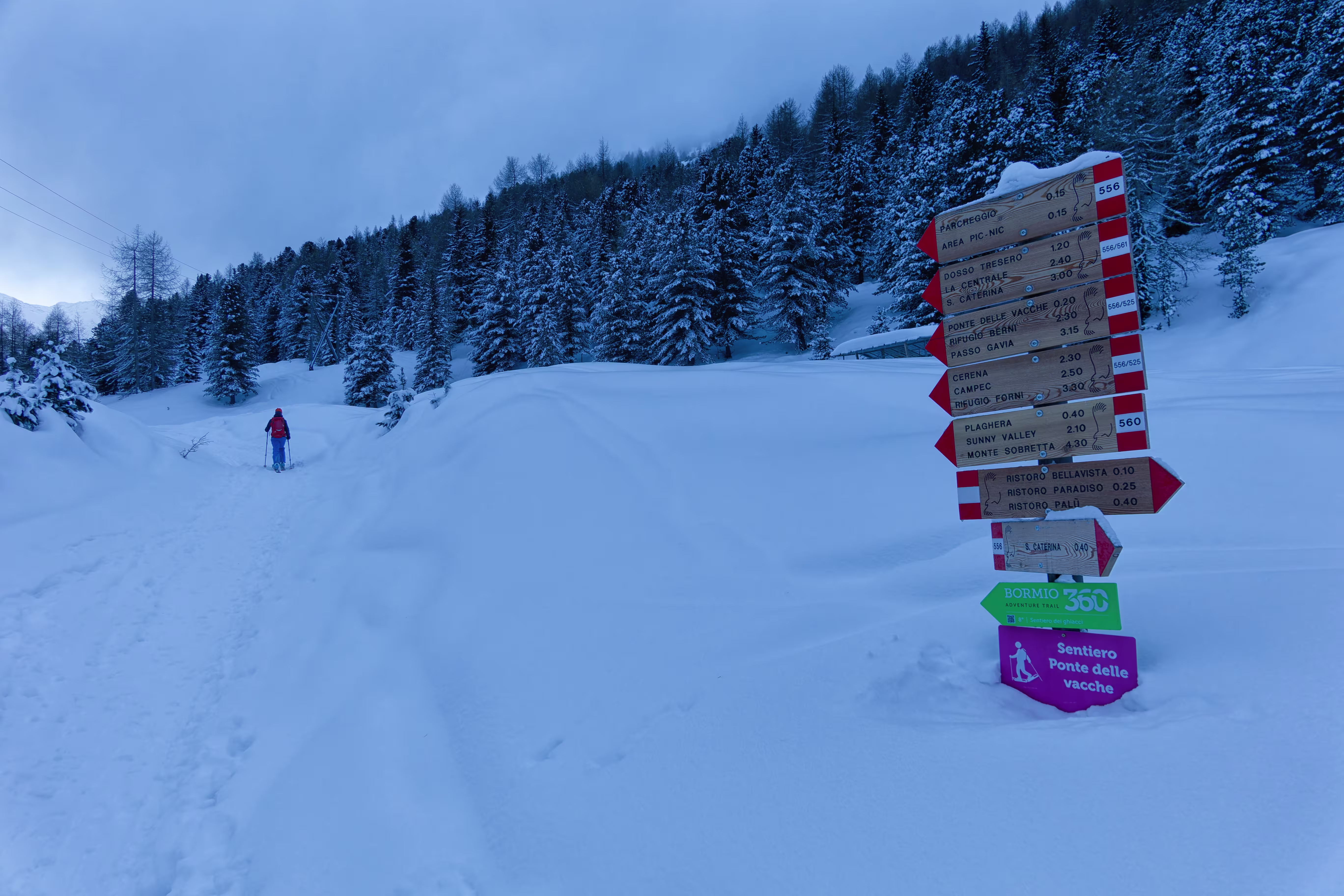 Verso il Ponte delle Vacche