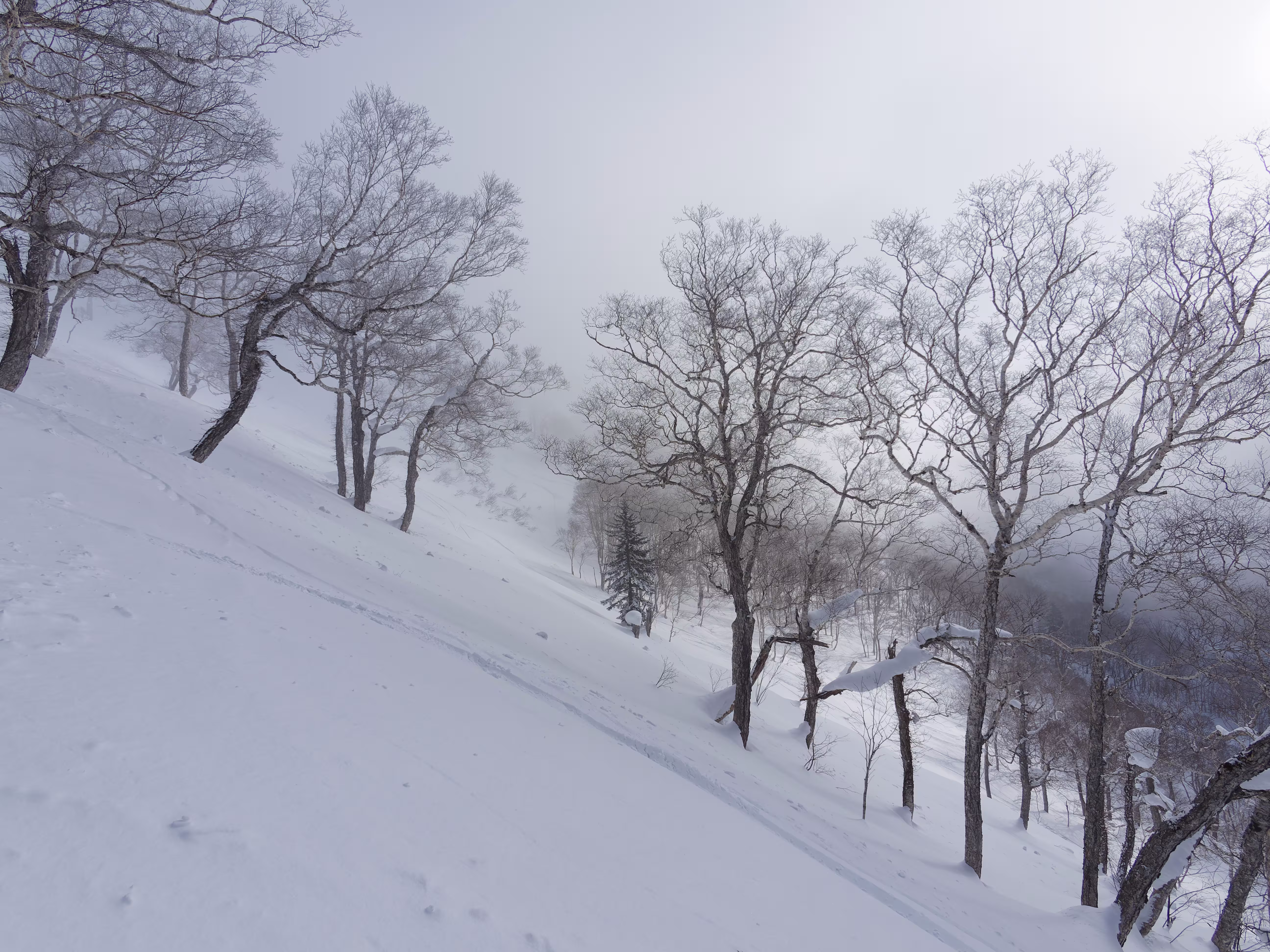 Arriviamo al limite delle nuvole