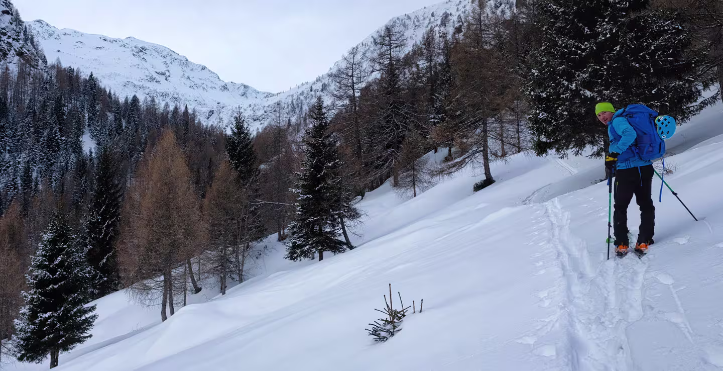 Risalendo la Val Vedrano