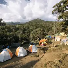 Le tende al Machame Camp