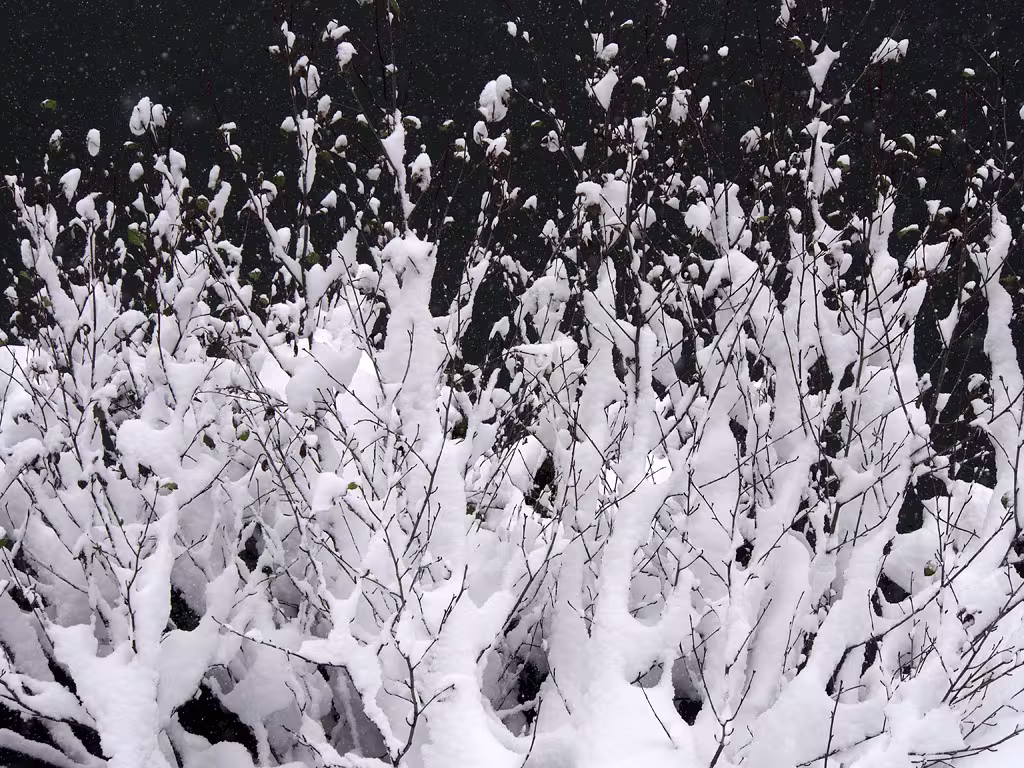 Non è un bianco e bero