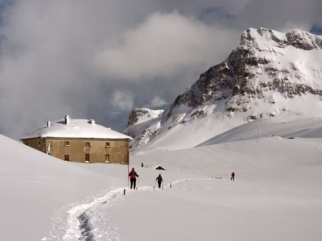 Arrivano anche altri