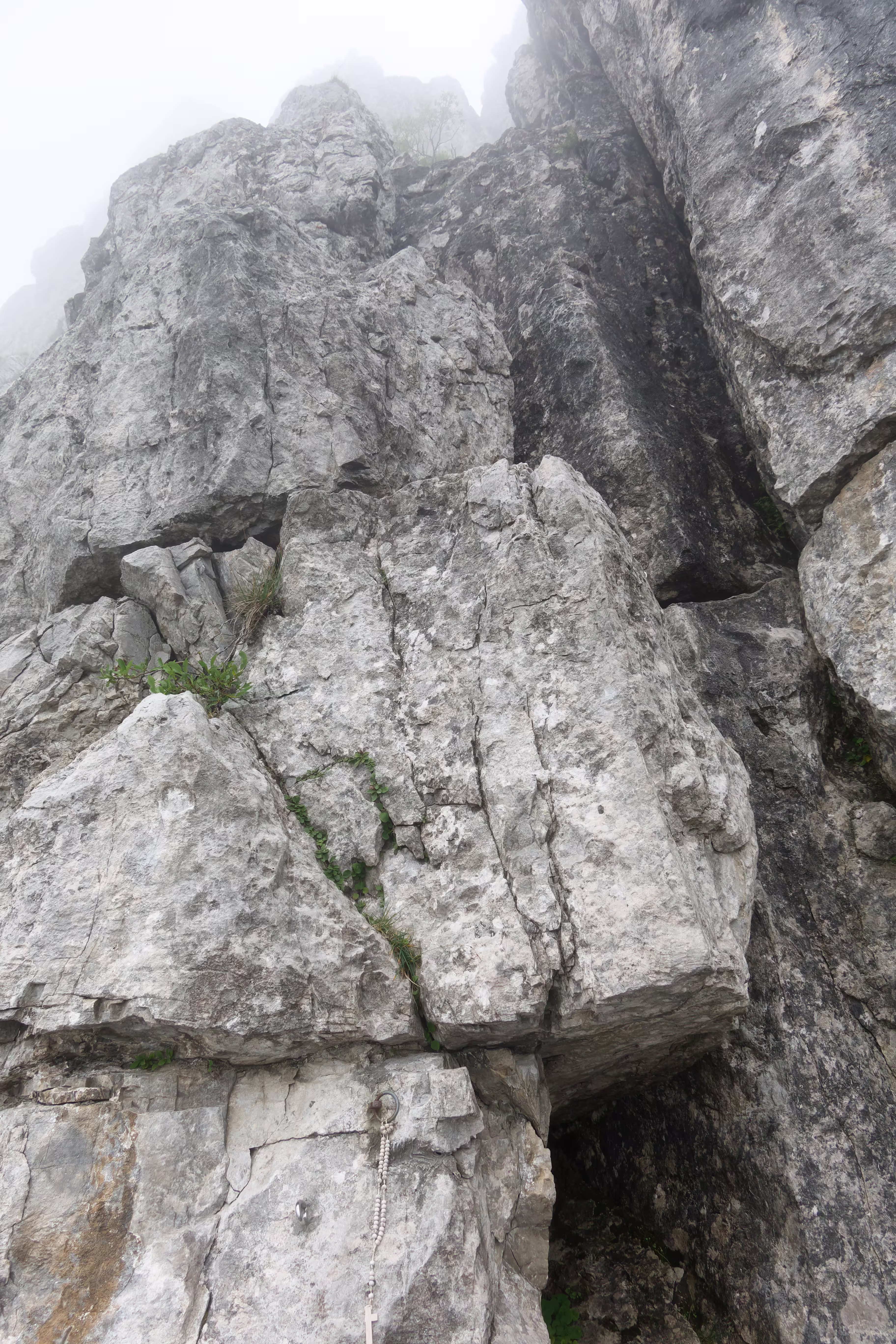 Il primo tiro della Cresta Ongania per raggiungere la vetta del Pesciola