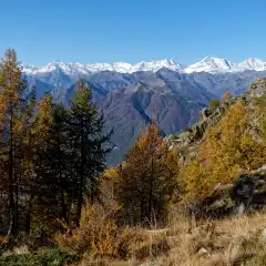 I quattromila del Vallese dal Passo di Nava