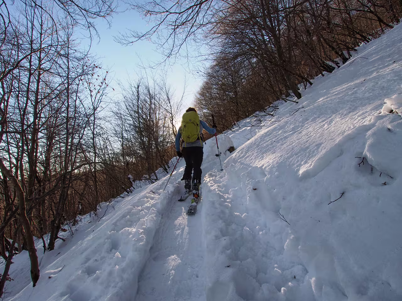 Dopo la sorgente Forbesette