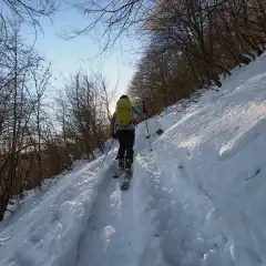 Dopo la sorgente Forbesette