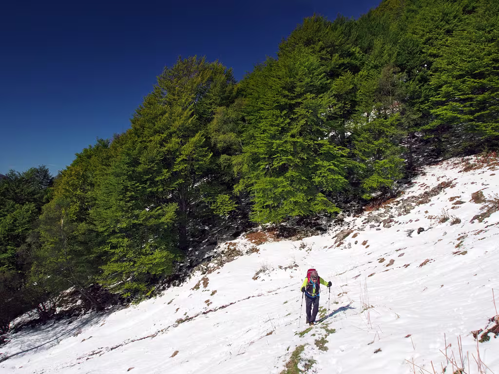 Contrasti primaverili