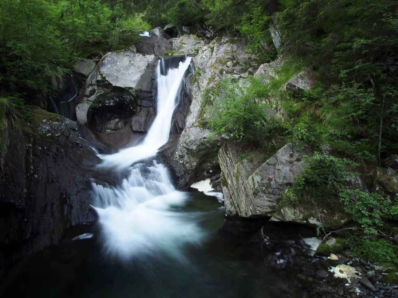 Le bellissime forre iniziali