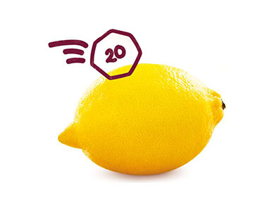 Costa Foundation Lemon