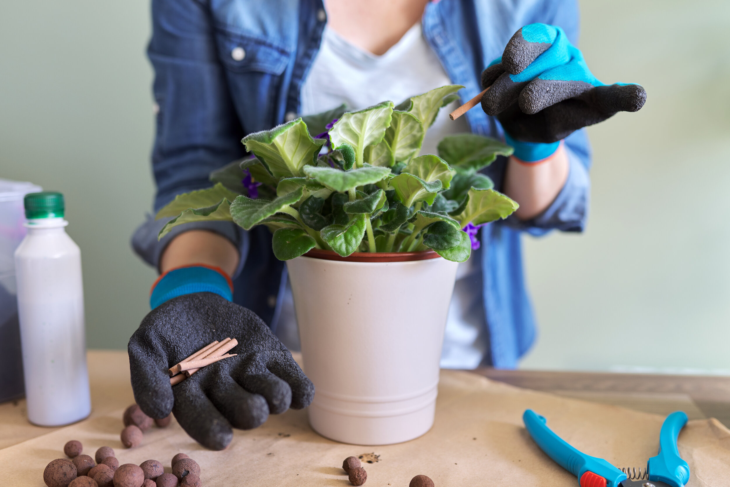 How to use fertilizing sticks