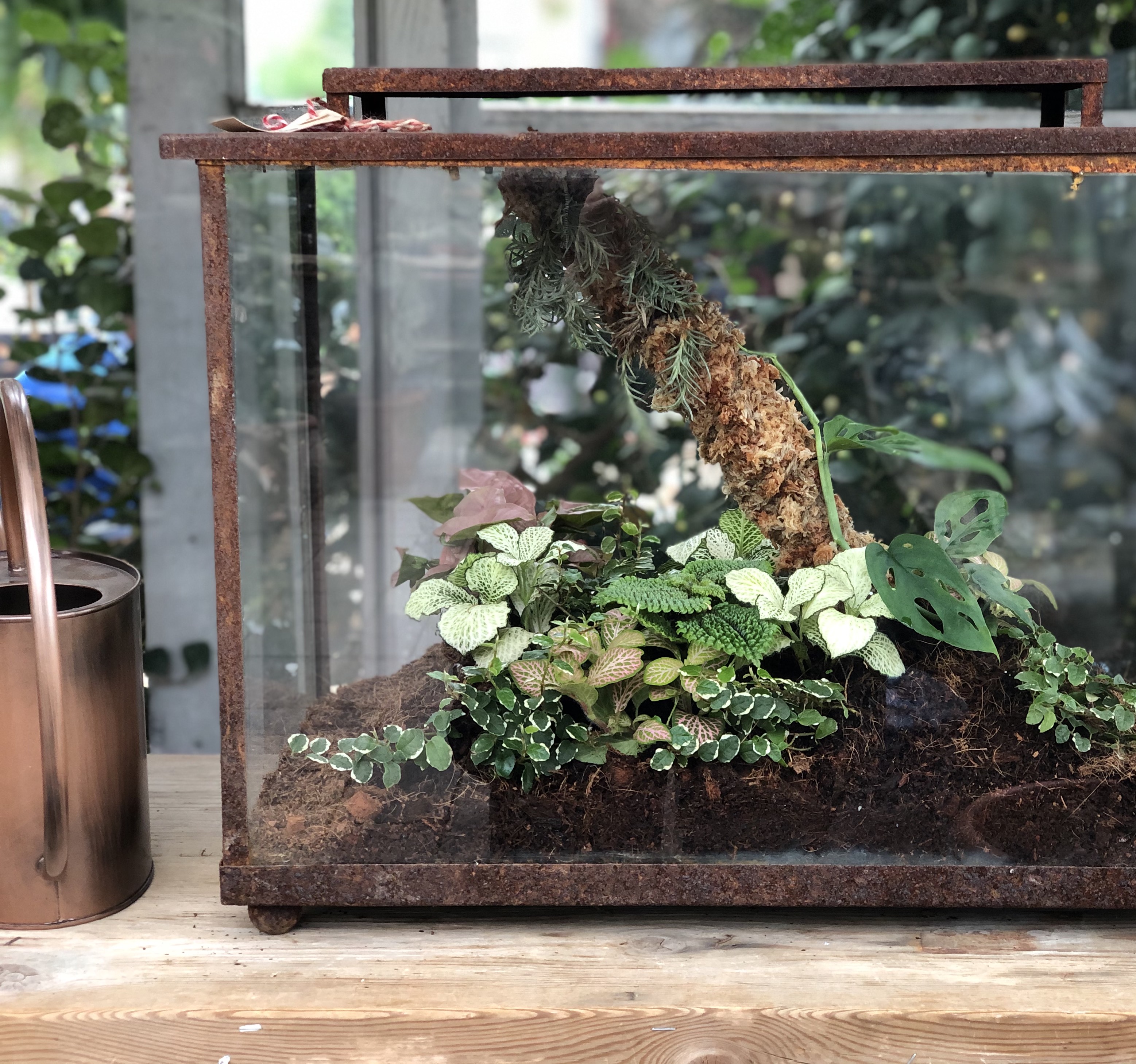 Terrarium open