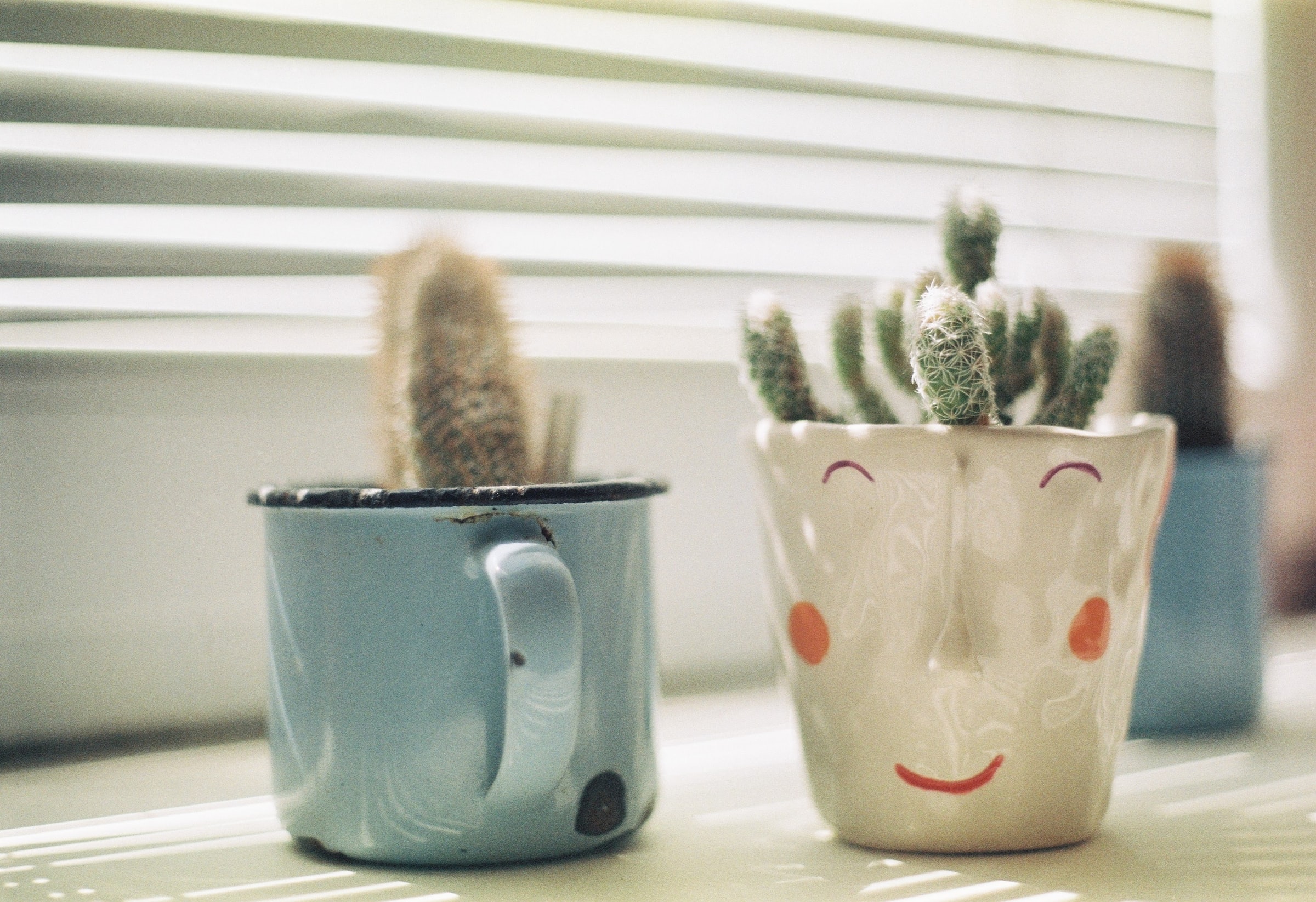 cute pots