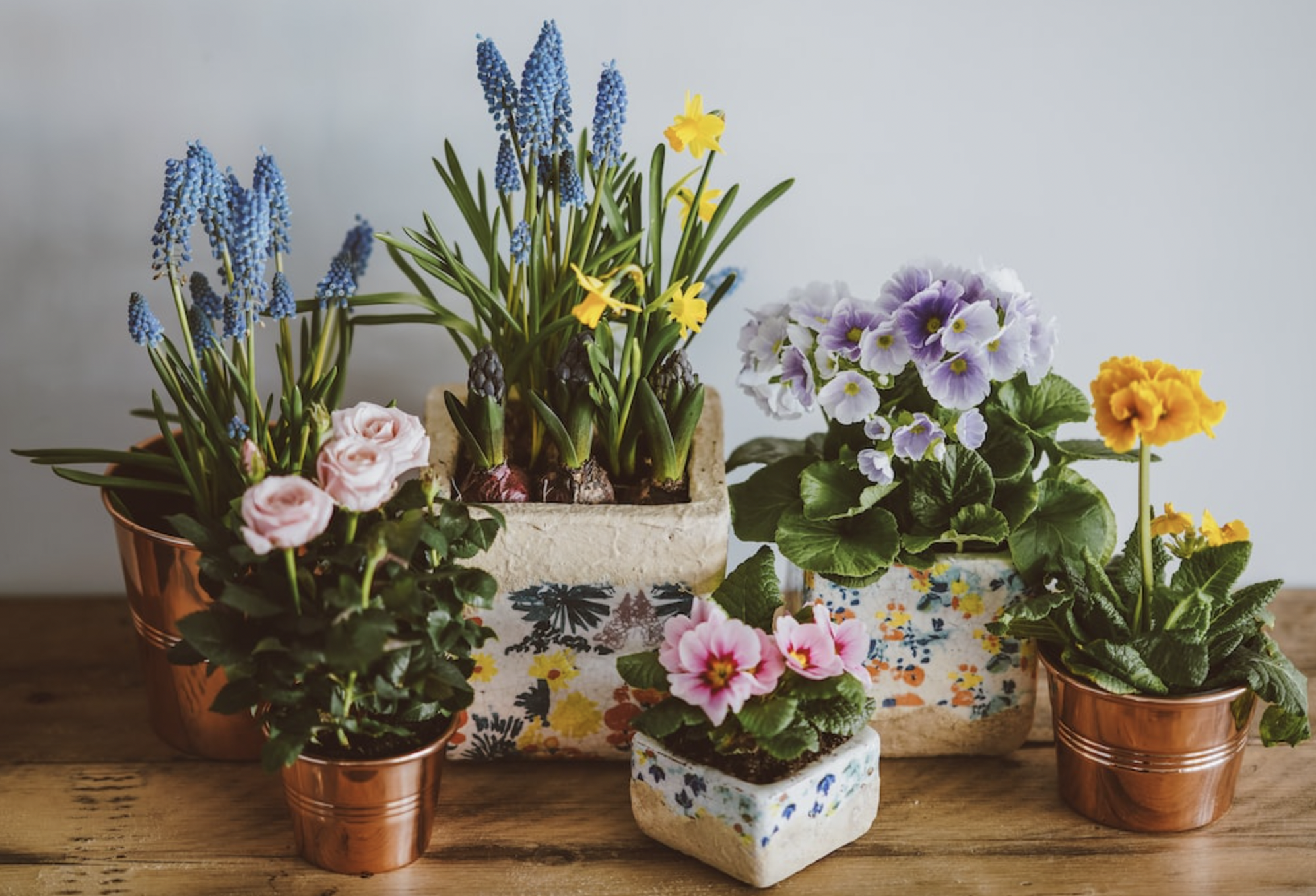 Decorate with flowering plants