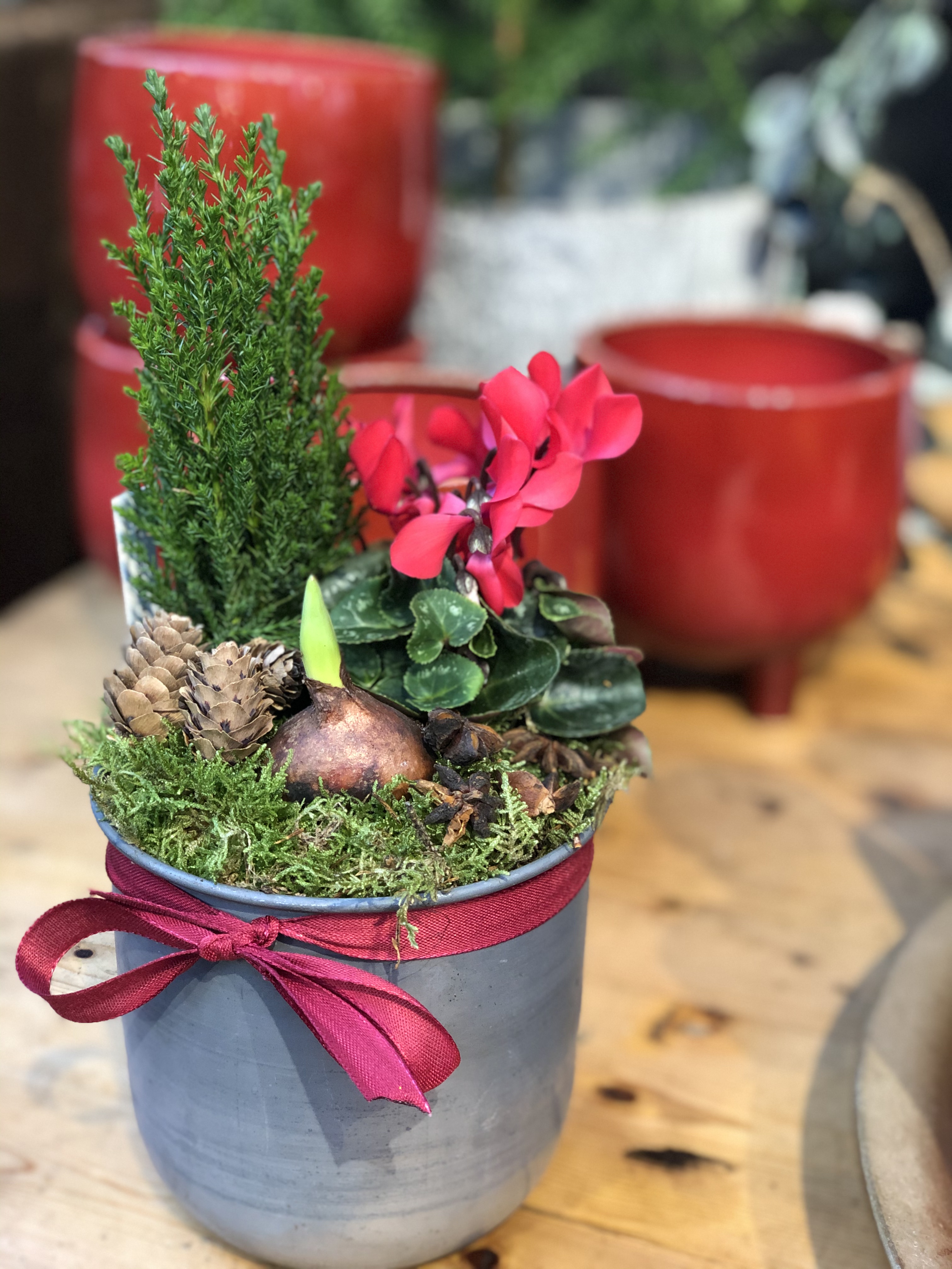 Christmas planter