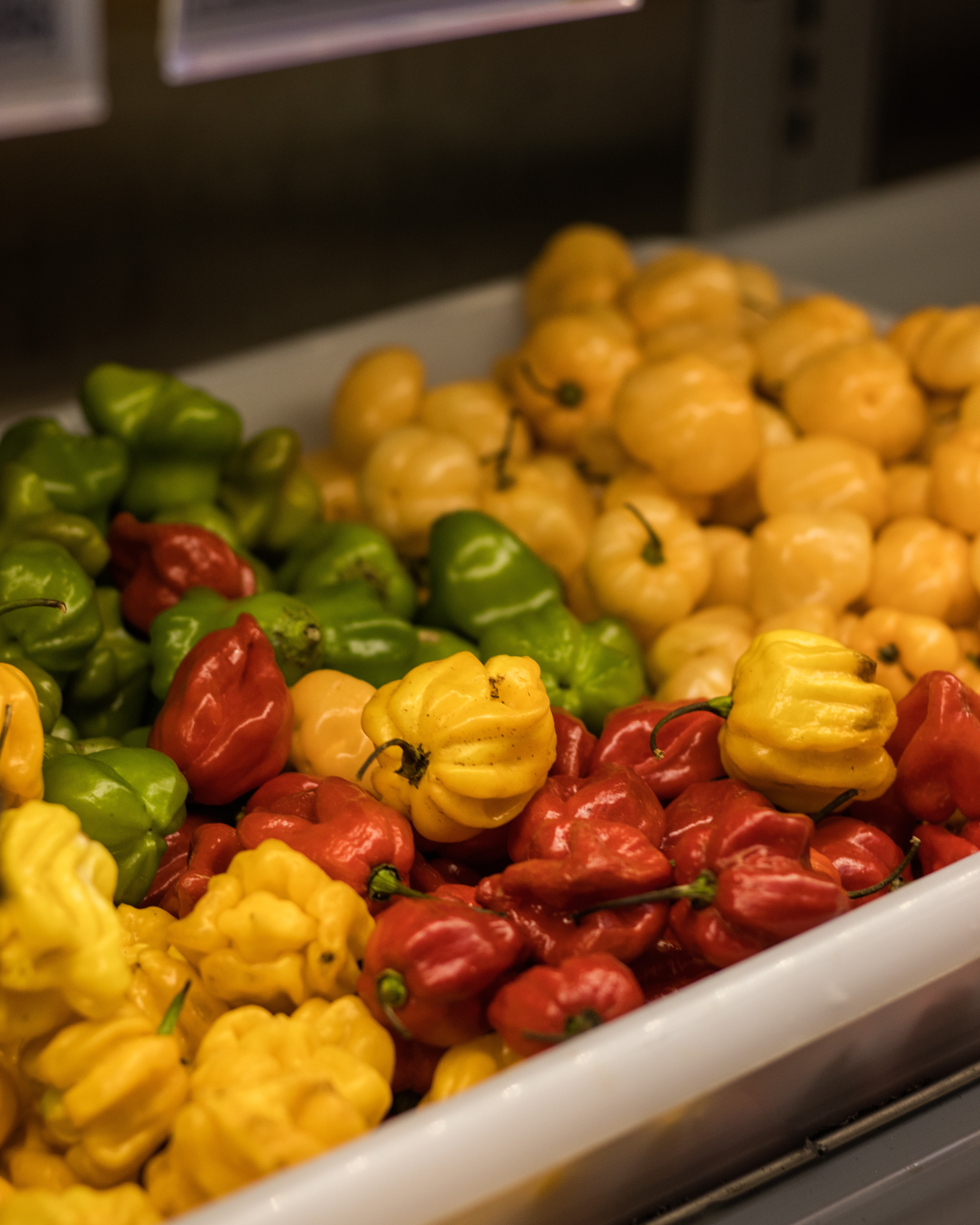chili pepper fruits